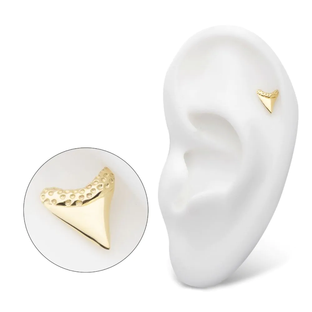 14Kt Gold Threadless Megalodon Shark Tooth Top - Image 2