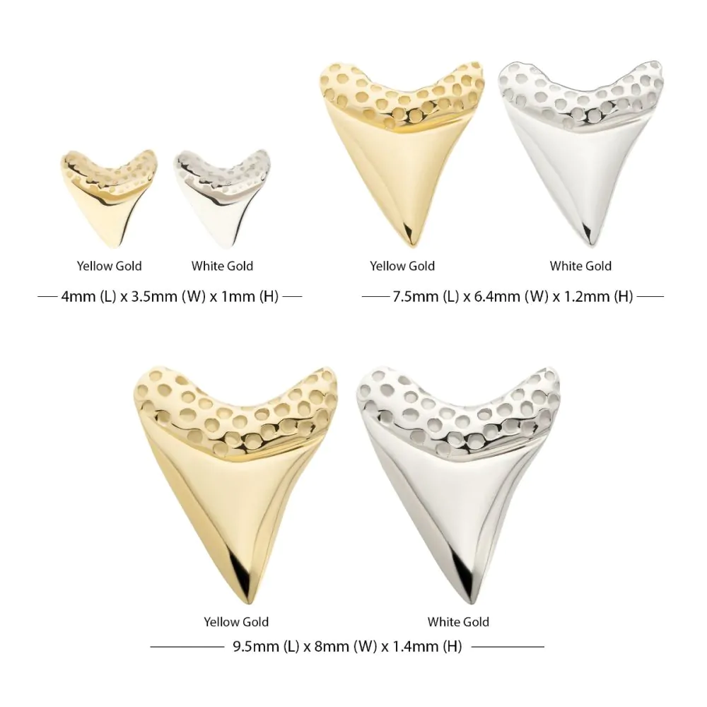 14Kt Gold Threadless Megalodon Shark Tooth Top - Image 3