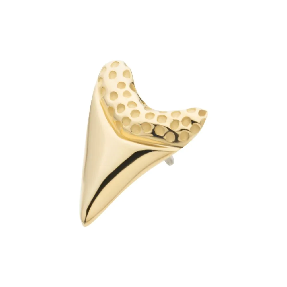 14Kt Gold Threadless Megalodon Shark Tooth Top - Image 4