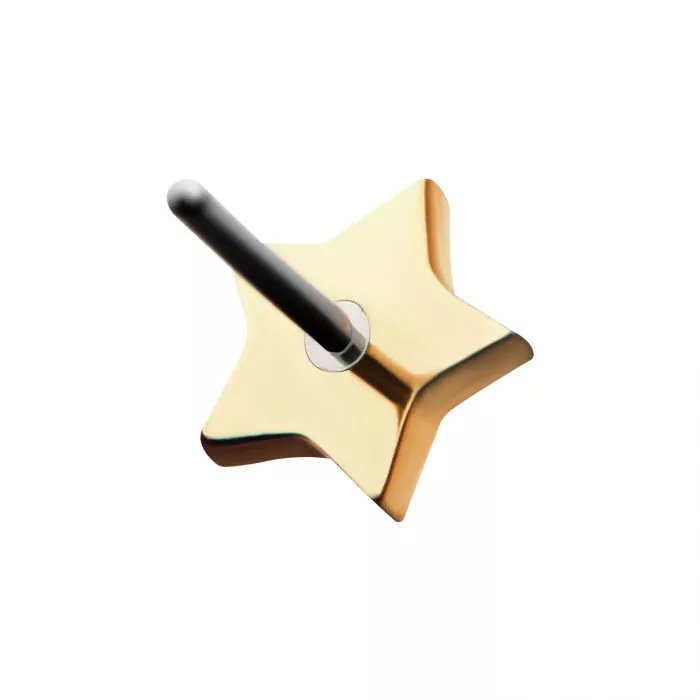14Kt Gold Threadless Star Top - Image 3