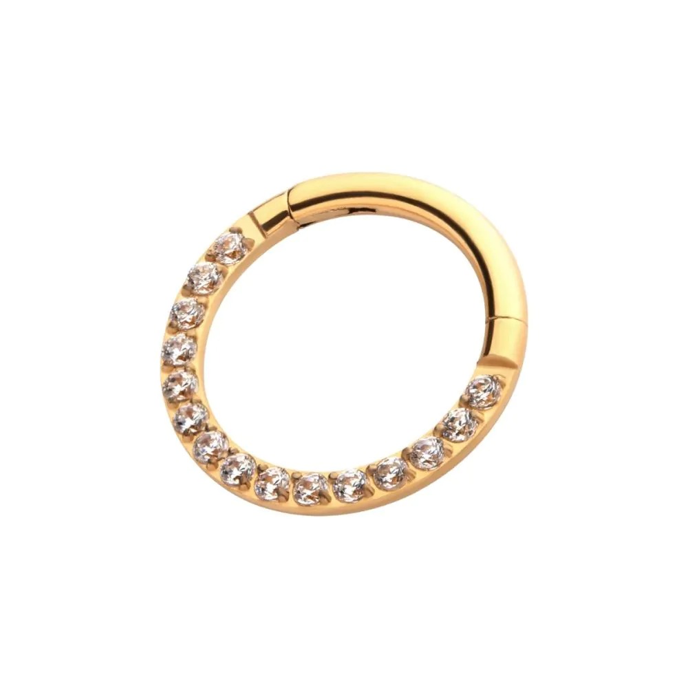 24KT Gold PVD Titanium CNC Set Clear CZ Eternity Front Facing Hinged Segment Clicker - Image 3
