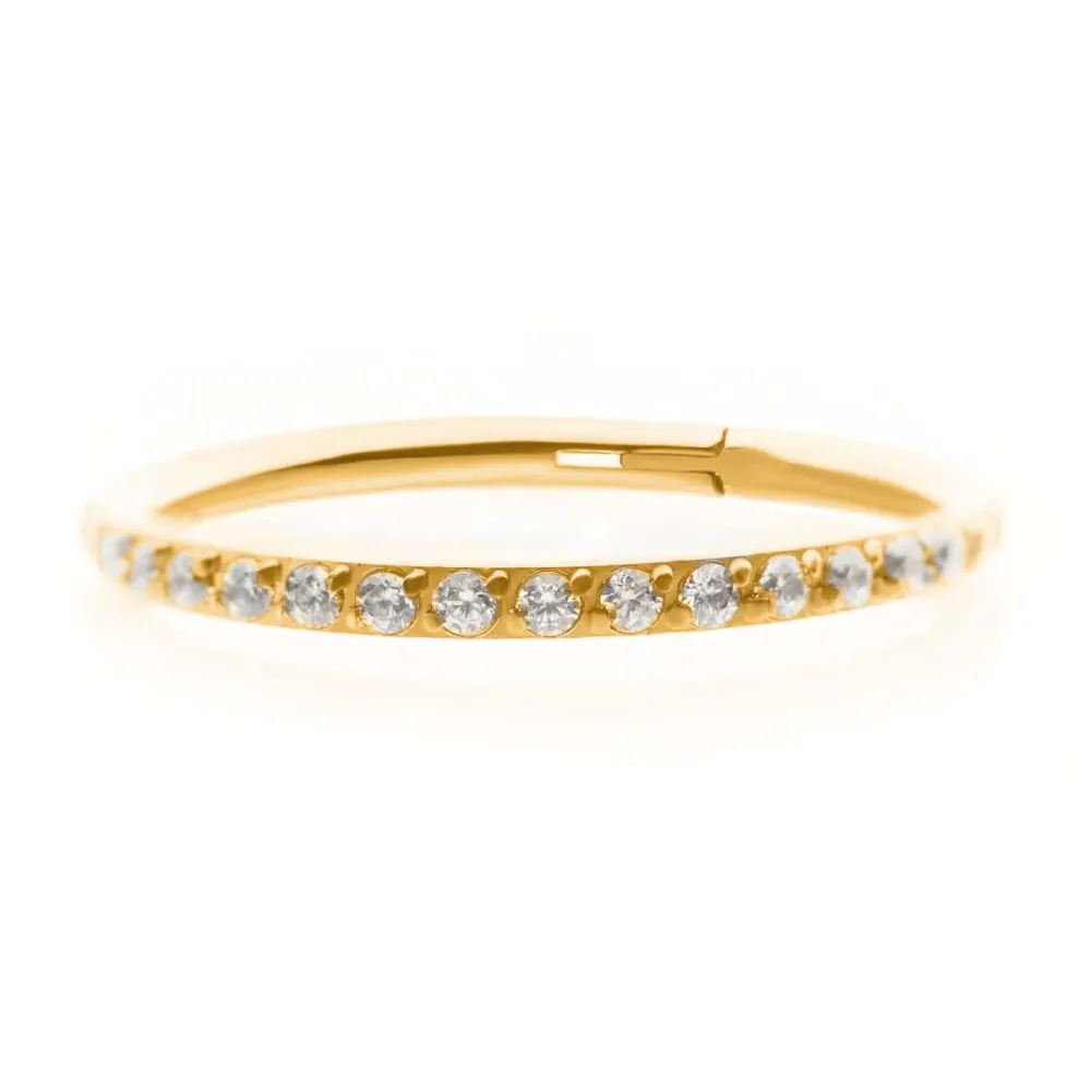 24KT Gold PVD Titanium CNC Set Clear CZ Eternity Side Facing Hinged Segment Clicker - Image 3