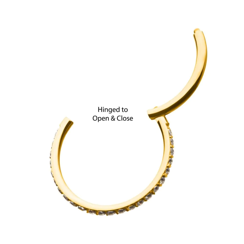 24KT Gold PVD Titanium CNC Set Clear CZ Eternity Side Facing Hinged Segment Clicker - Image 4