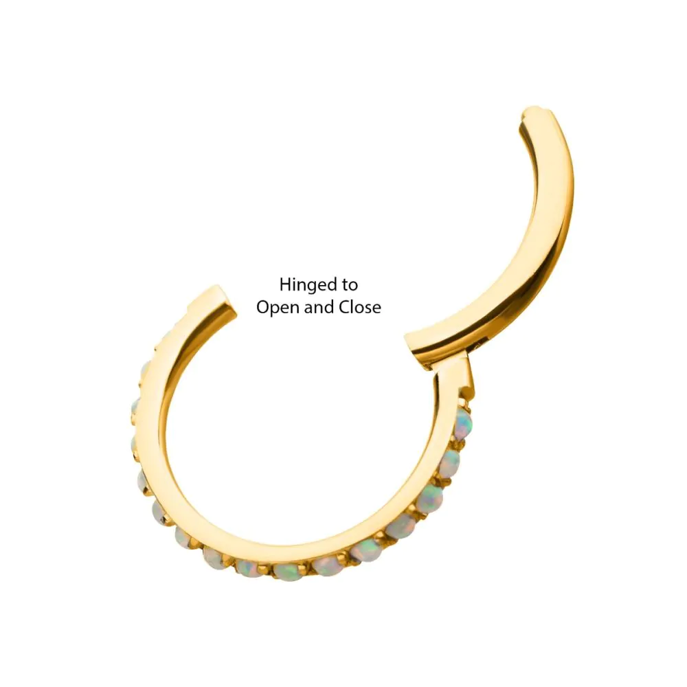 24KT Gold PVD Titanium CNC Set White Opal Eternity Side Facing Hinged Segment Clicker - Image 3