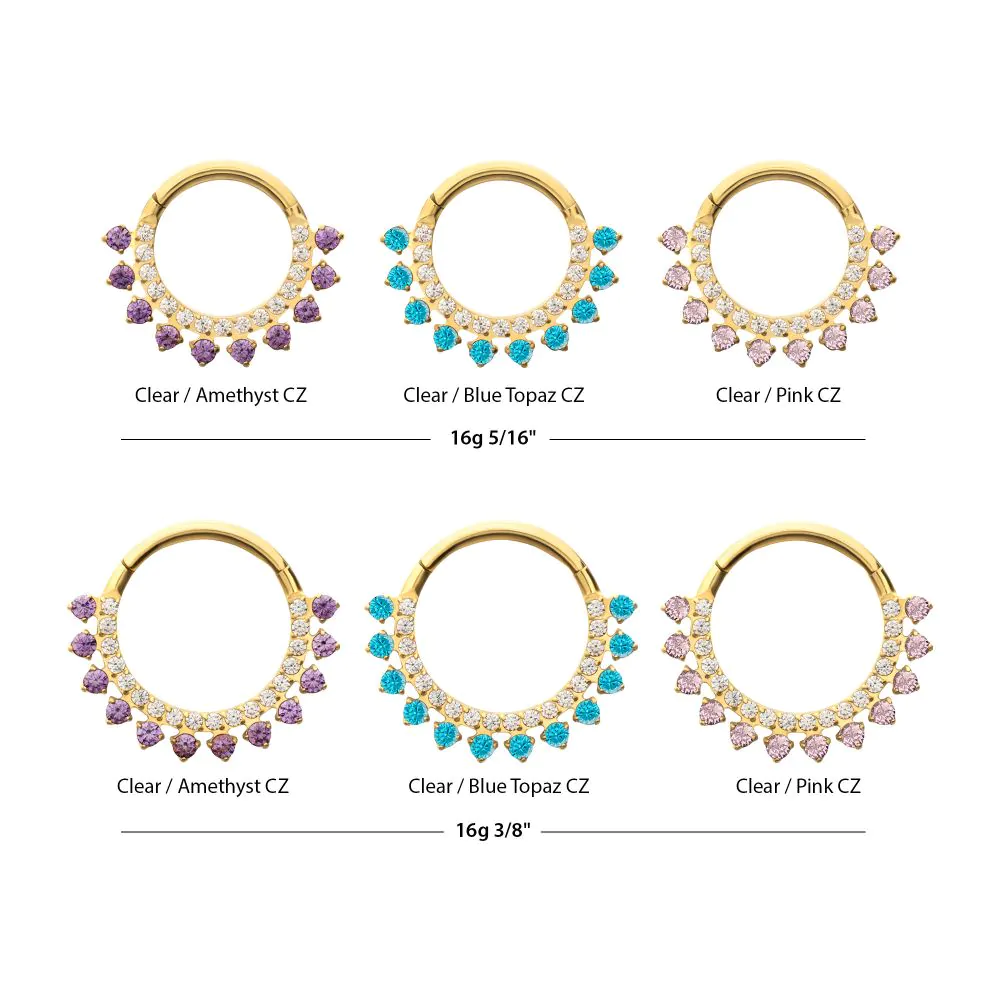 24Kt Gold PVD Titanium Double Row CZ Multi-Gem with Clear CNC Set Inner Gem Front Facing Hinged Segment Clicker - Image 4