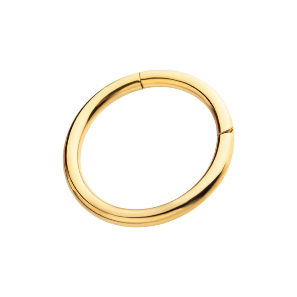 24KT Gold PVD Titanium Hinged Segment Clicker - Image 3
