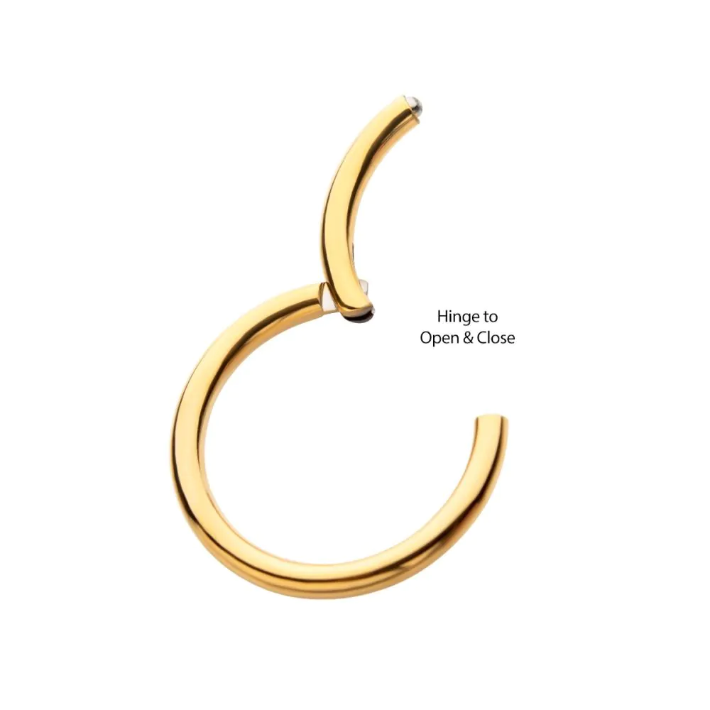 24KT Gold PVD Titanium Hinged Segment Clicker - Image 4