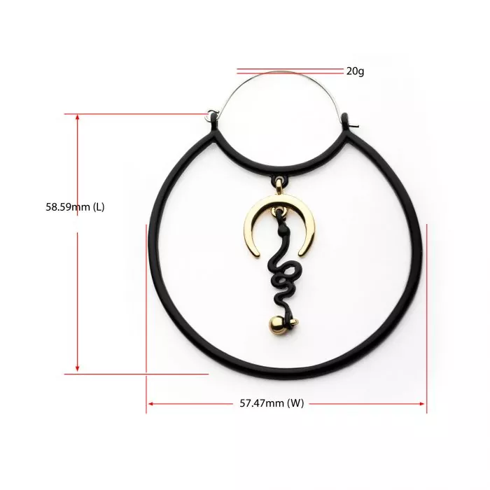 Black Snake & Gold Moon Hanger Earrings - Image 3