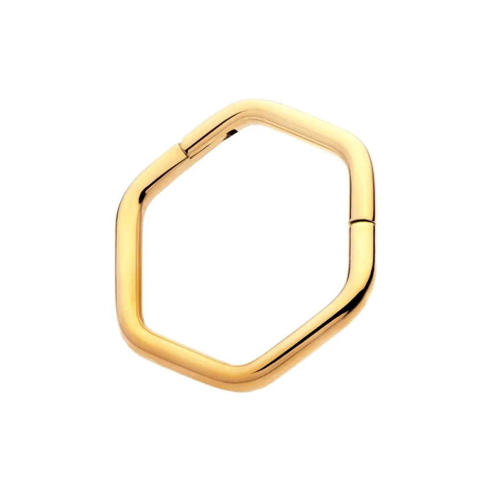Hexagon Shape 24Kt Gold PVD Titanium Front Facing Hinged Segment Clicker - Image 3
