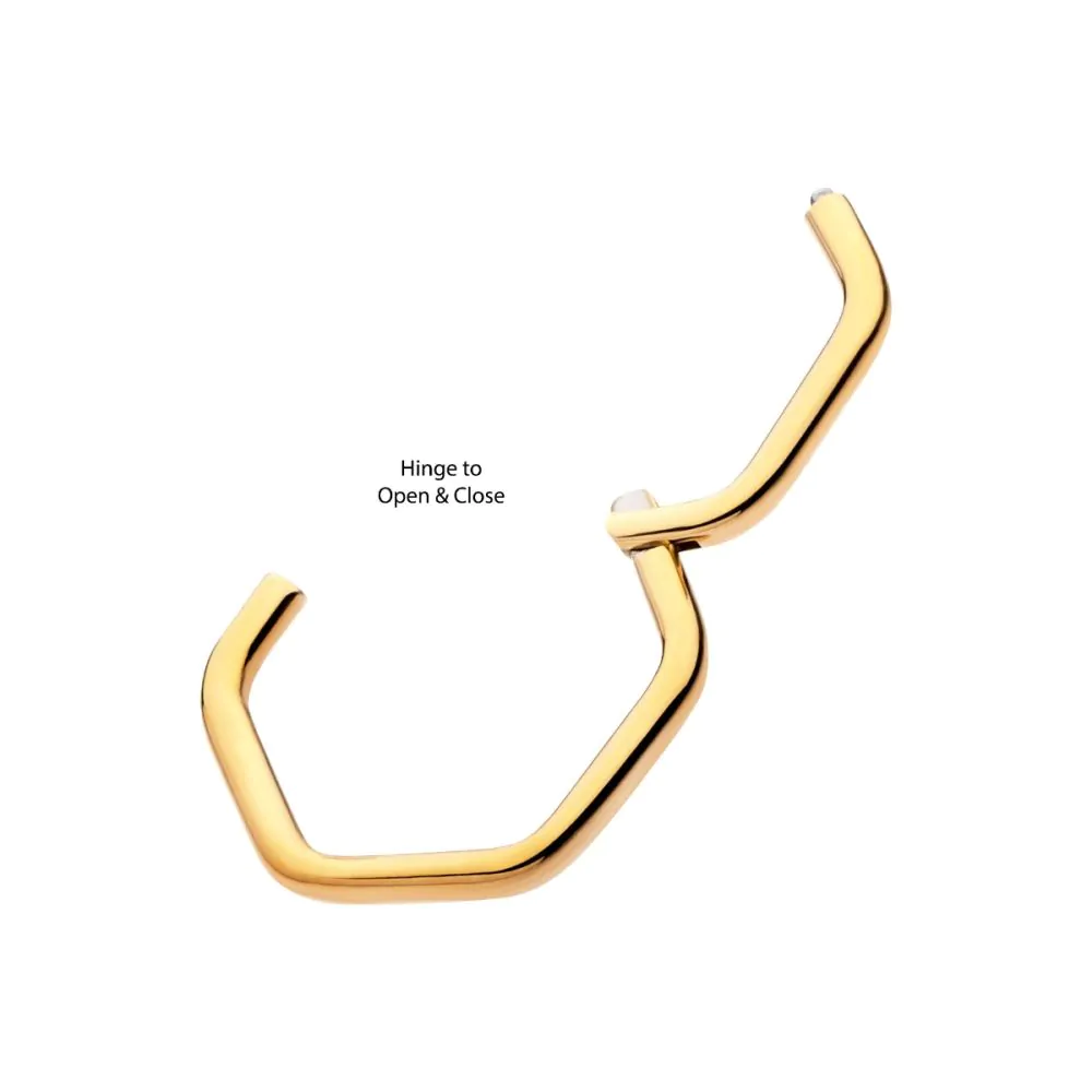 Hexagon Shape 24Kt Gold PVD Titanium Front Facing Hinged Segment Clicker - Image 4