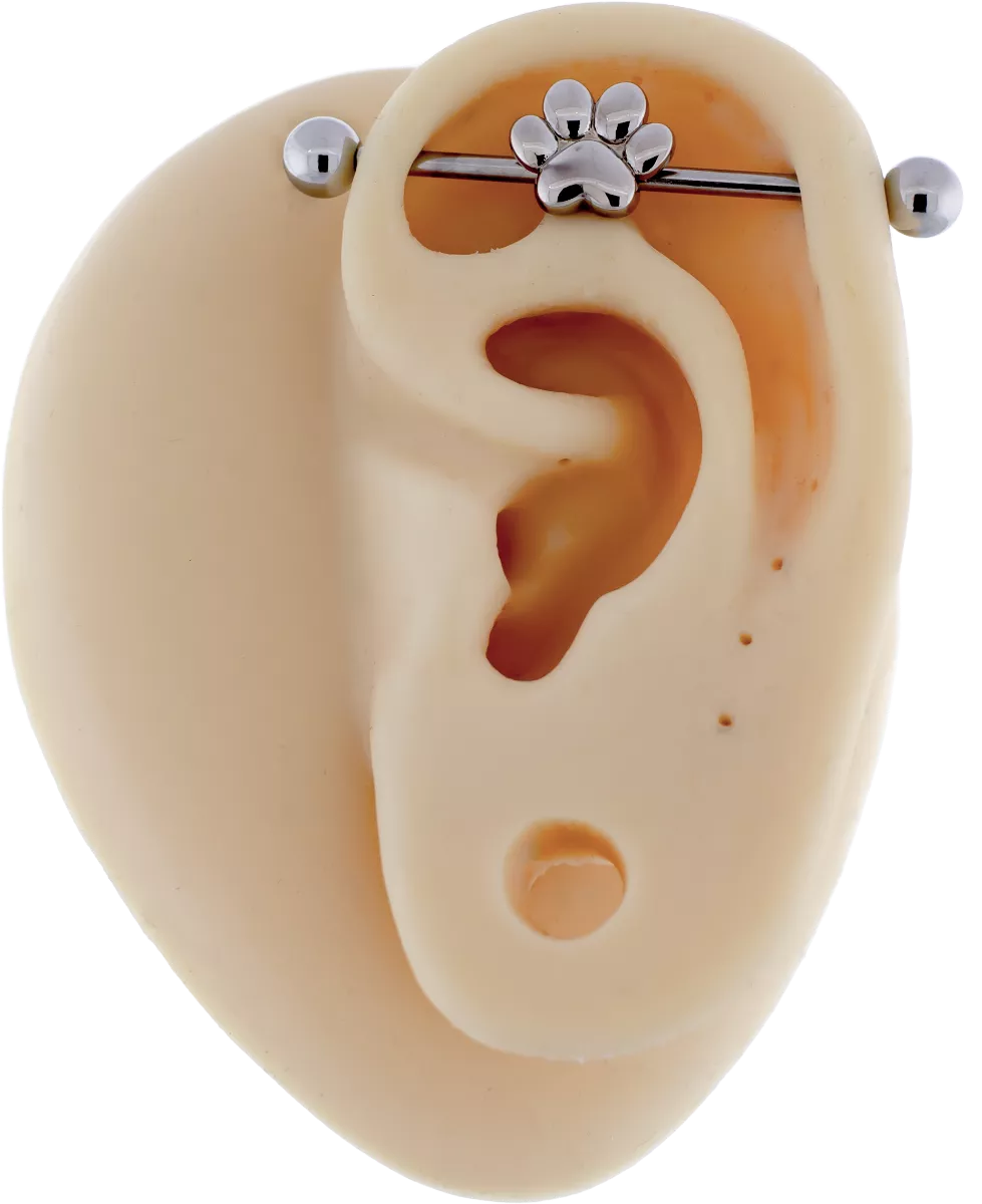 Pawprint Industrial Barbell - Image 2