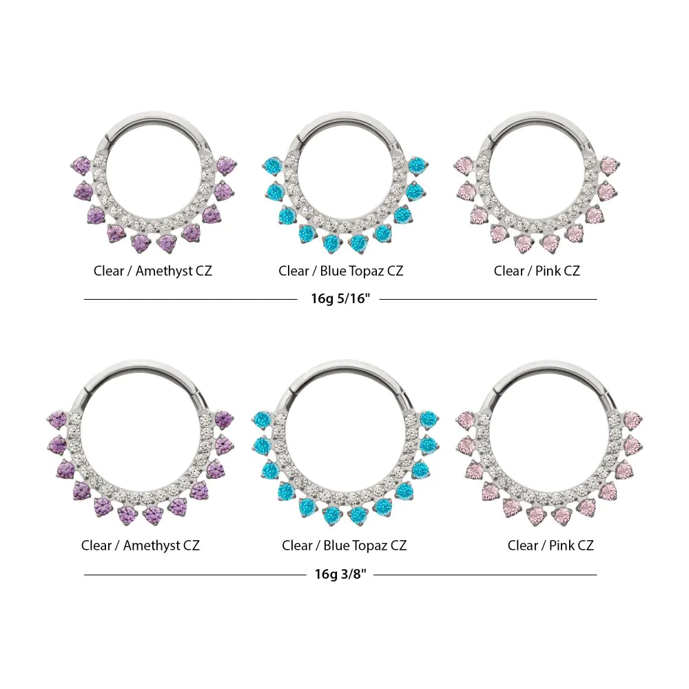 Titanium Double Row CZ Multi-Gem with Clear CNC Set Inner Gem Front Facing Hinged Segment Clicker - Image 4