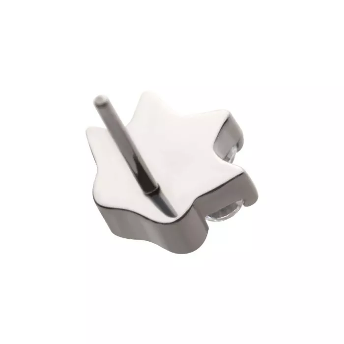 Titanium Threadless with Prong Set CZ 4-Cluster Paw Top - Image 4