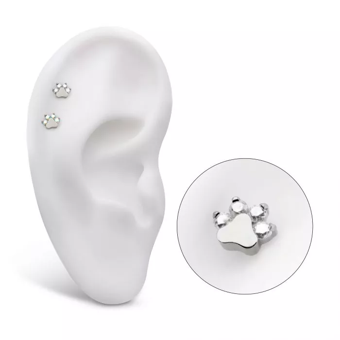 Titanium Threadless with Prong Set CZ 4-Cluster Paw Top - Image 5