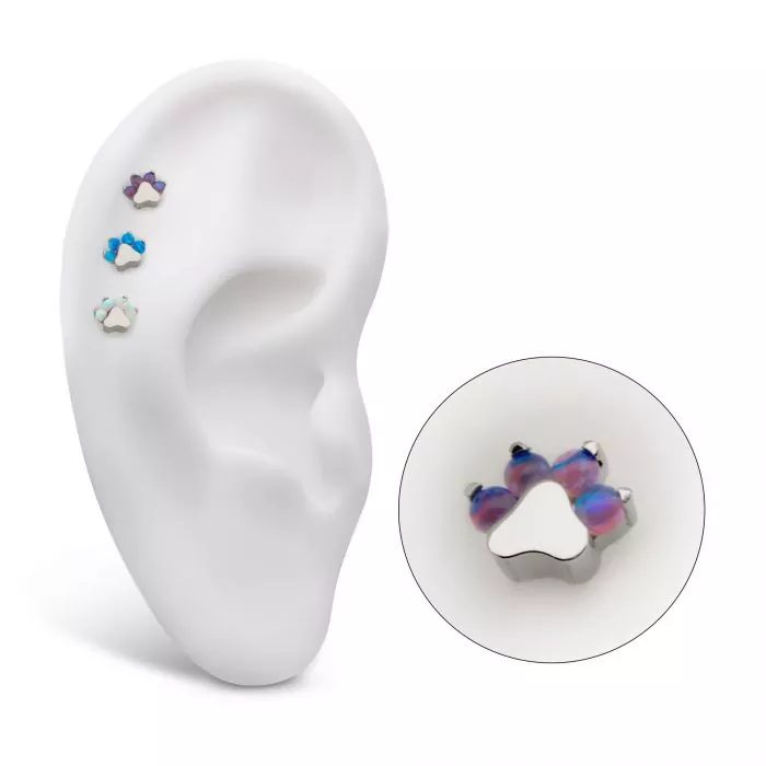 Titanium Threadless with Prong Set Opal 4-Cluster Paw Top - Image 5