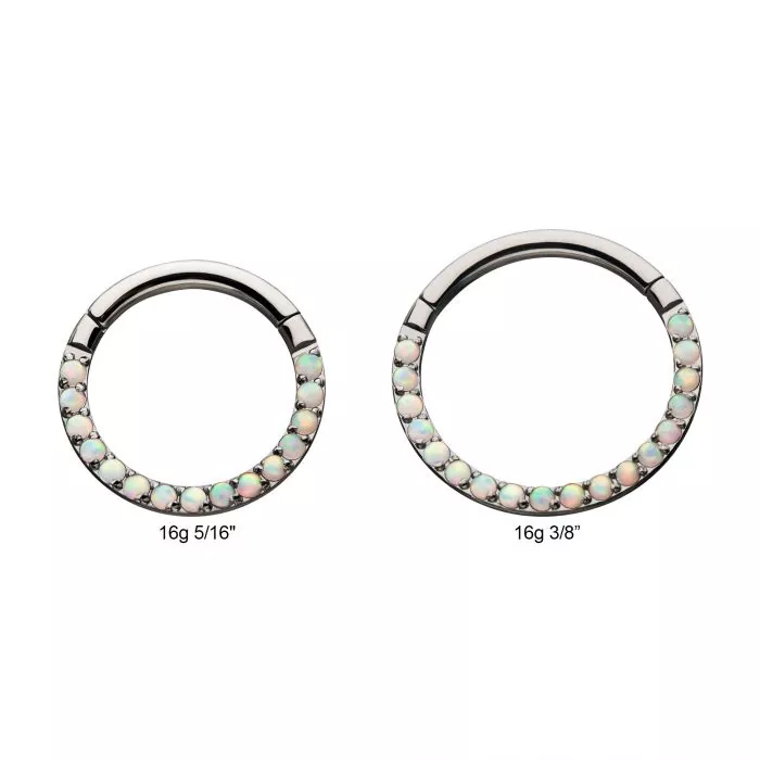 Titanium with Front Full Clear Eternity Gem Hinged Segment Clicker - Image 4